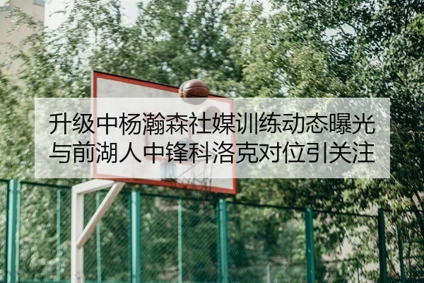升级中杨瀚森社媒训练动态曝光 与前湖人中锋科洛克对位引关注